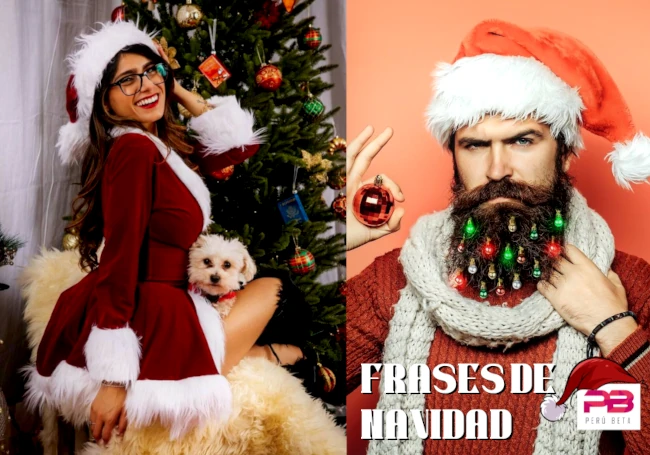 Frases De Navidad - Humorísticas